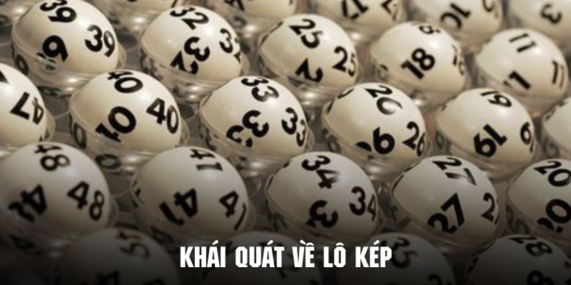 Giải thích về lô kép là gì