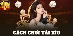 cách chơi tài xỉu