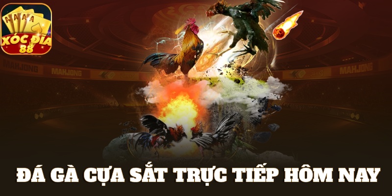 đá gà cựa sắt trực tiếp hôm nay